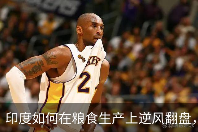 印度如何在粮食生产上逆风翻盘，赋予中美俄新的启示？